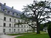 Pontlevoy - Antigua abadía benedictina: edificio del convento, camino bordeado de árboles y césped