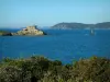 Porquerolles island - Mediterranean vegetation, the Mediterranean Sea, the Petit Langoustier fort (Petit Langoustier island) and forest