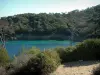 Porquerolles island - Mediterranean vegetation, footpath, the Mediterranean Sea and the forest
