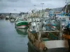 Port-en-Bessin - Barcos y puertos de pesca, los arrastreros de aves marinas en vuelo y el cielo tormentoso