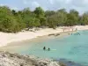 Port-Louis - Souffleur cove on the island of Grande-Terre: Souffleur sandy beach, bathers in the sea and trees