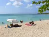 Port-Louis - Souffleur beach: lazing on the sand overlooking the turquoise sea