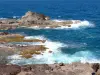 Presqu'île de la Caravelle - Nature Reserve Caravelle - Regional Park of Martinique: rocky coast and the Atlantic Ocean