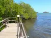 Presqu'île de la Caravelle - Nature Reserve Caravelle - Regional Park of Martinique: observation point overlooking the mangrove and Treasury Bay