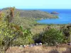 Presqu'île de la Caravelle - Nature Reserve Caravelle coastal landscape of the peninsula