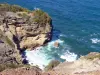Presqu'île de la Caravelle - Nature Reserve Caravelle cliffs of the wild coast