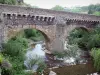 Privas - Luigi XIII ponte che attraversa il fiume Ouvèze e gli alberi lungo l'acqua