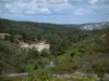 Provence landscapes - Hills covered with forests and houses