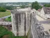 Provins - Porte de Jouy y las murallas (fortificaciones amuralladas, medievales)