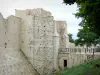 Provins - Porte de Saint-Jean (puerta fortificada fortificación medieval)