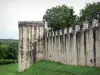Provins - Fortificada (fortificaciones medievales) de las altas murallas de la ciudad y la torre