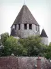 Provins - César tower (keep, watchtower), trees and roof of a house