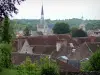 Provins - Ver sobre los tejados de la ciudad, los árboles, el campanario de la Iglesia de la Santa Cruz (izquierda) y la torre de Notre-Dame-du-Val (remanente de la antigua iglesia de Notre Dame)