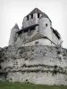 Provins - César tower (keep, watchtower)