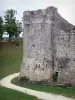 Provins - Recorrido por las fortificaciones medievales fortificadas) y caminar por las murallas