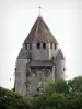 Provins - Torre de César (la torre, torre de vigilancia), flanqueada por torres