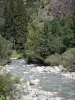 Pueblo de Gavarnie - Gave de Gavarnie llena de rocas y árboles