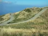 Puy de Dôme - Volcán de los Puys (Monts Dome): camino trazado, en el Parque Natural Regional de los Volcanes de Auvernia