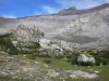 Pyrenees landscapes - Troumouse cirque (Pyrenees National Park): rocks, wildflowers, lawn and cliff of the cirque shaped like a natural wall