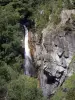 Pyrenees landscapes - Waterfall, cliffs and trees