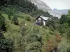 Pyrenees landscapes - House surrounded by pasture and trees