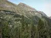 Pyrenees landscapes - Mountain overhanging the forest