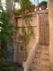 Ramatuelle - Stair at the entrance to a house with creepers and plants in jars