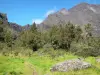 Réunion National Park - Hiking trail in the heart of the Mafate cirque