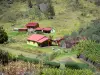 Réunion National Park - Mafate cirque: Marla islet and houses