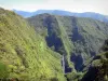 Réunion National Park - View of the Trou de Fer waterfall and its wild environment