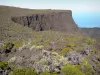 Réunion National Park - Panorama from the volcano forest road