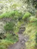 Réunion National Park - Walking path leading to the Taïbit pass