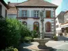 Ribeauvillé - Square with fountain, plants and houses decorated with geranium flowers