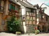 Riquewihr - Old timber-framed houses decorated with flowers and plants