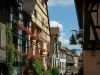 Riquewihr - Colourful half-timbered houses, facades decorated with shop signs and windows decorated with flowers (geranium), creepers