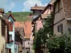 Riquewihr - Hill covered by vineyards overhanging the colourful and flower-bedecked houses of the village