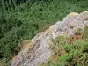 Roca de Oëtre - Suiza Normandía: vista desde el Oëtre precipicio de roca (mirador natural), la comuna de Saint-Philbert-sur-Orne