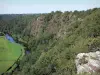 Rocas de Ham - Acantilados rocosos, árboles, ríos (Vire) y el pastoreo al borde del agua en el valle del Vire