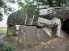 La Roche-aux-Fées - Dolmen (monument mégalithique : allée couverte), à Essé