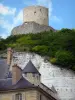 La Roche-Guyon - Castillo y su torreón encaramado