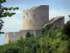 La Roche-Guyon - Keep of the castle surrounded by greenery