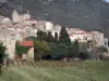 Roquebrun - Casas de la Iglesia y el pueblo, los árboles y vides, sobre el terreno en el valle del Orb, en el Parque Natural Regional del Alto Languedoc