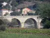 Roquebrun - Puente sobre el río Orb, el campo de las vides, árboles y casas (Orb Valley), en el Parque Natural Regional del Alto Languedoc
