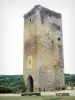 Roquetaillade castle - Tower of the old castle 