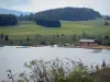 Les Rousses - Lac des Rousses : plantes sauvages en premier plan, lac, alpages (pâturages) et sapins (arbres) ; dans le Parc Naturel Régional du Haut-Jura