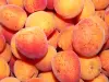 Roussillon apricots - Gastronomy, holidays & weekends guide in the Pyrénées-Orientales