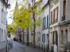 Rueil-Malmaison - City facades