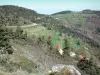 Ruinas del castillo de Rochebloine - Vista de la carretera que conduce a la aldea desde el sitio NOZIERES Rochebloine