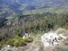 Ruines du château de Rochebloine - Paysage verdoyant vu depuis le site de Rochebloine