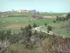 Ruines du château de Rochebloine - Vue sur une ferme entourée de prés depuis le site de Rochebloine